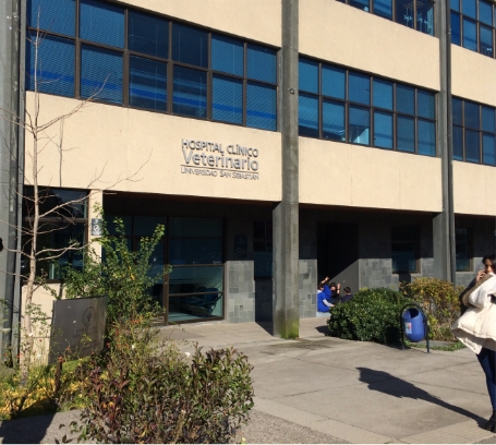 Clínica Veterinaria de Universidad San Sebastián