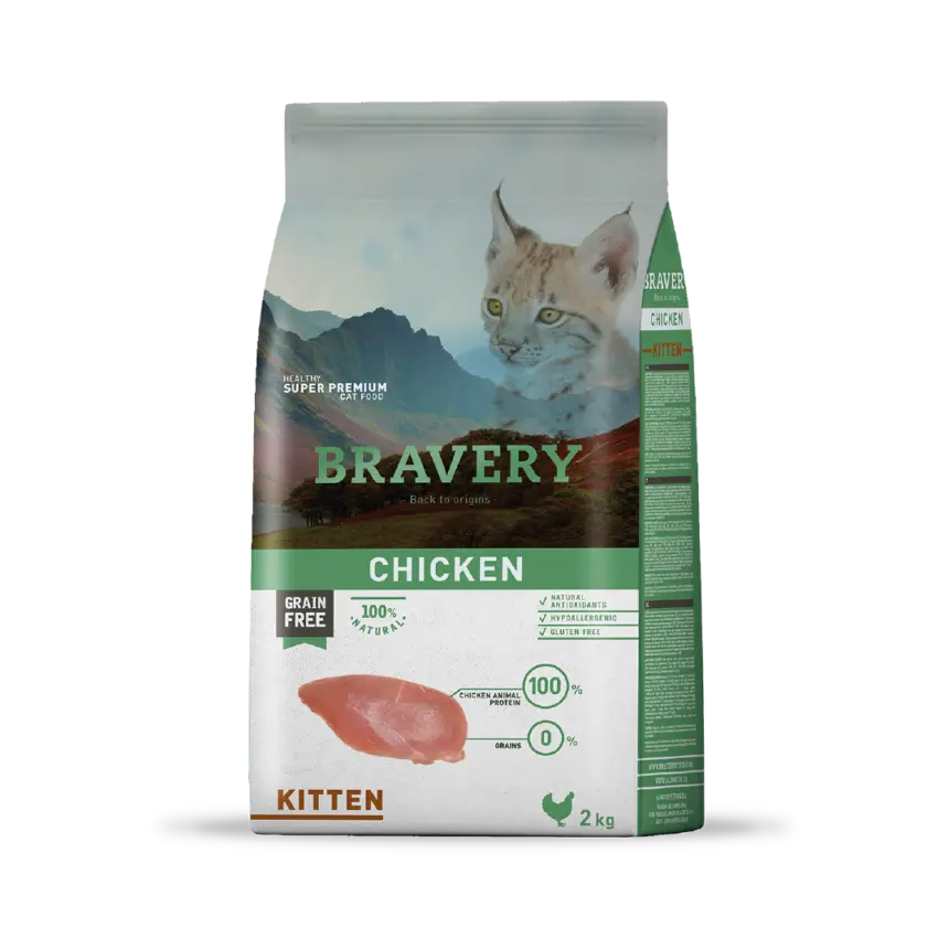 Bravery Kitten - Para Mi Mascota