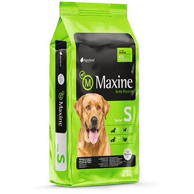 Maxine Perro Mediano - Para Mi Mascota